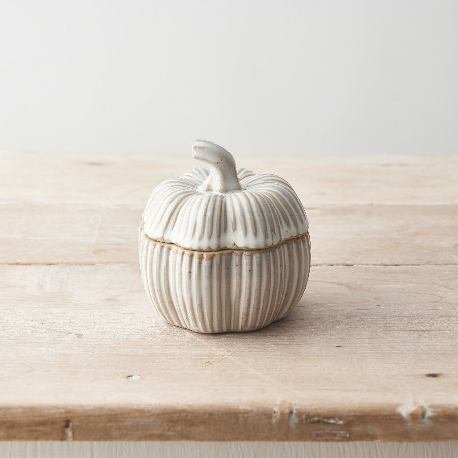 Set of two natural glazed ceramic pumpkin pots for Halloween, decorative Sable Homeware ceramic fall planters with pumpkin design.