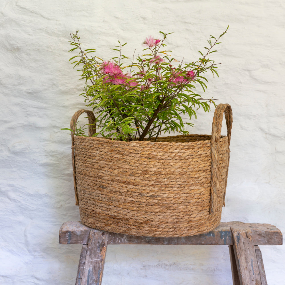 Set of three oval seagrass baskets with handles by Shabbyquins, showcasing natural woven texture and sturdy handles.