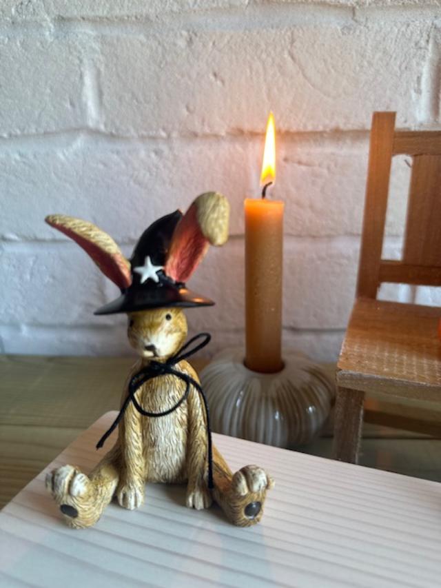 Sable Homeware Halloween sitting witch rabbits ornament featuring three styles, with cute bunny figures dressed as witches.