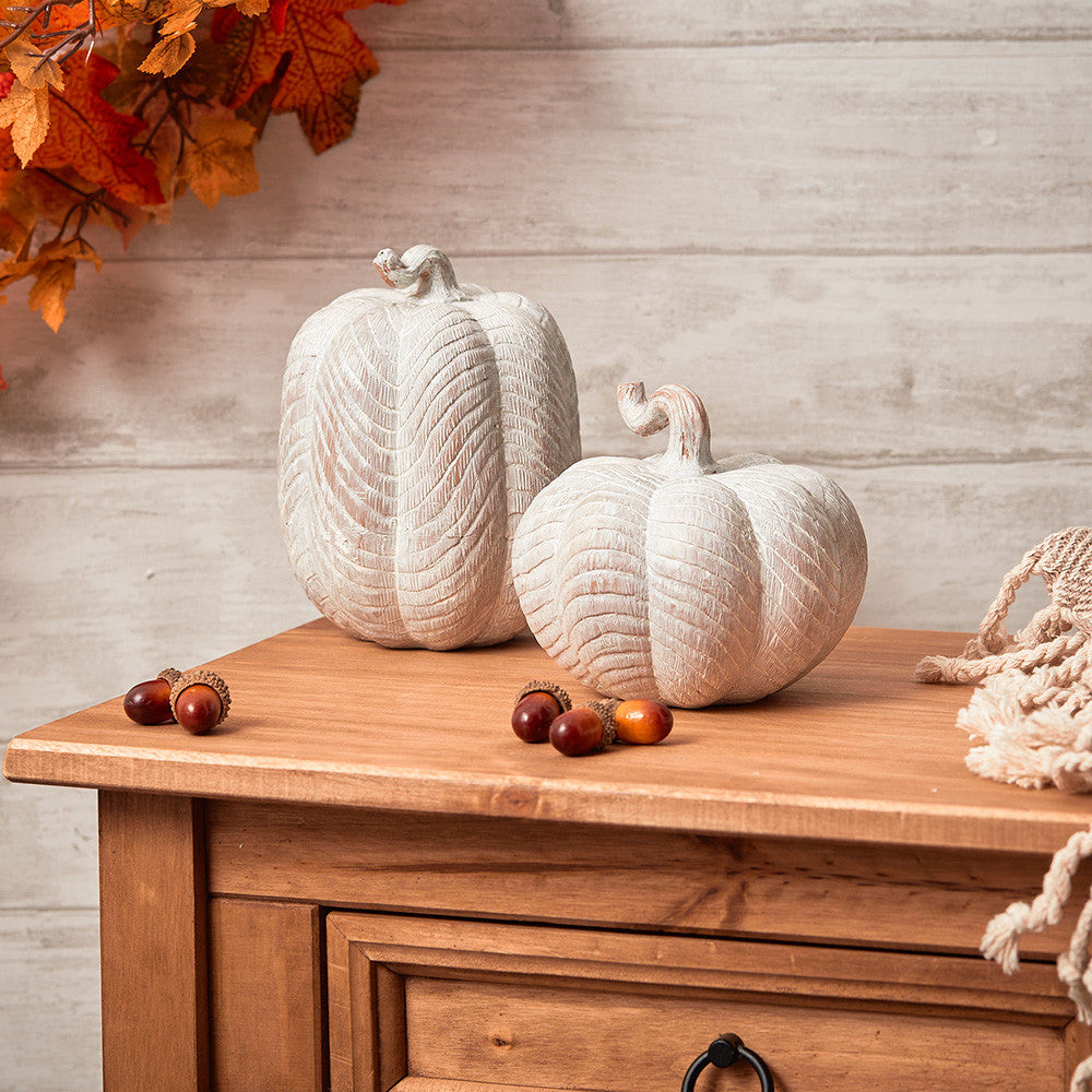 Natural Carved Pumpkins - Set of 2 - Sable Homeware