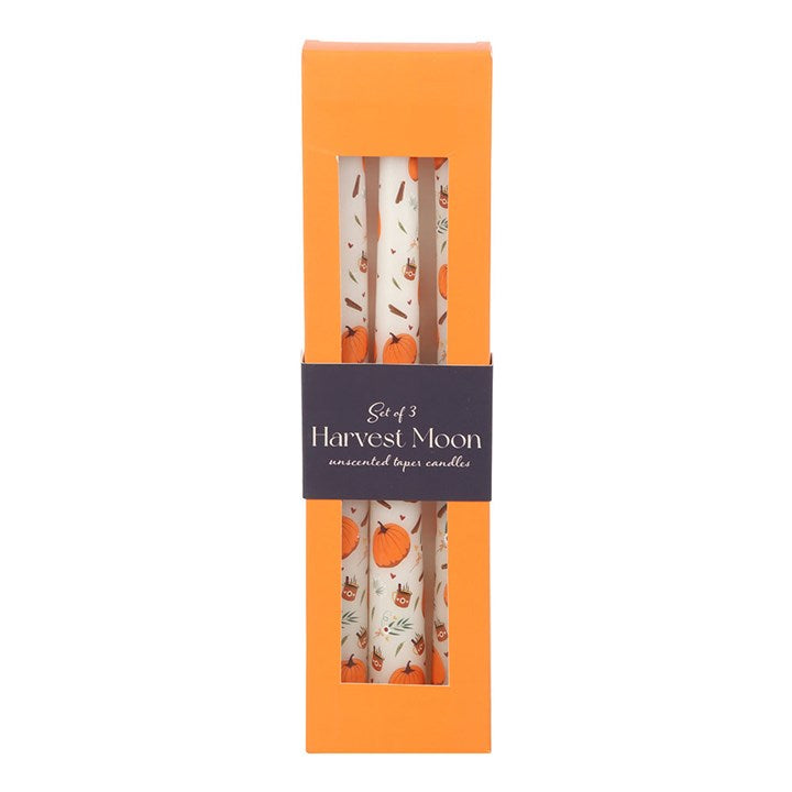 Set of three pumpkin-shaped taper candles by Sable Homeware, featuring warm orange tones and decorative fall-inspired design.