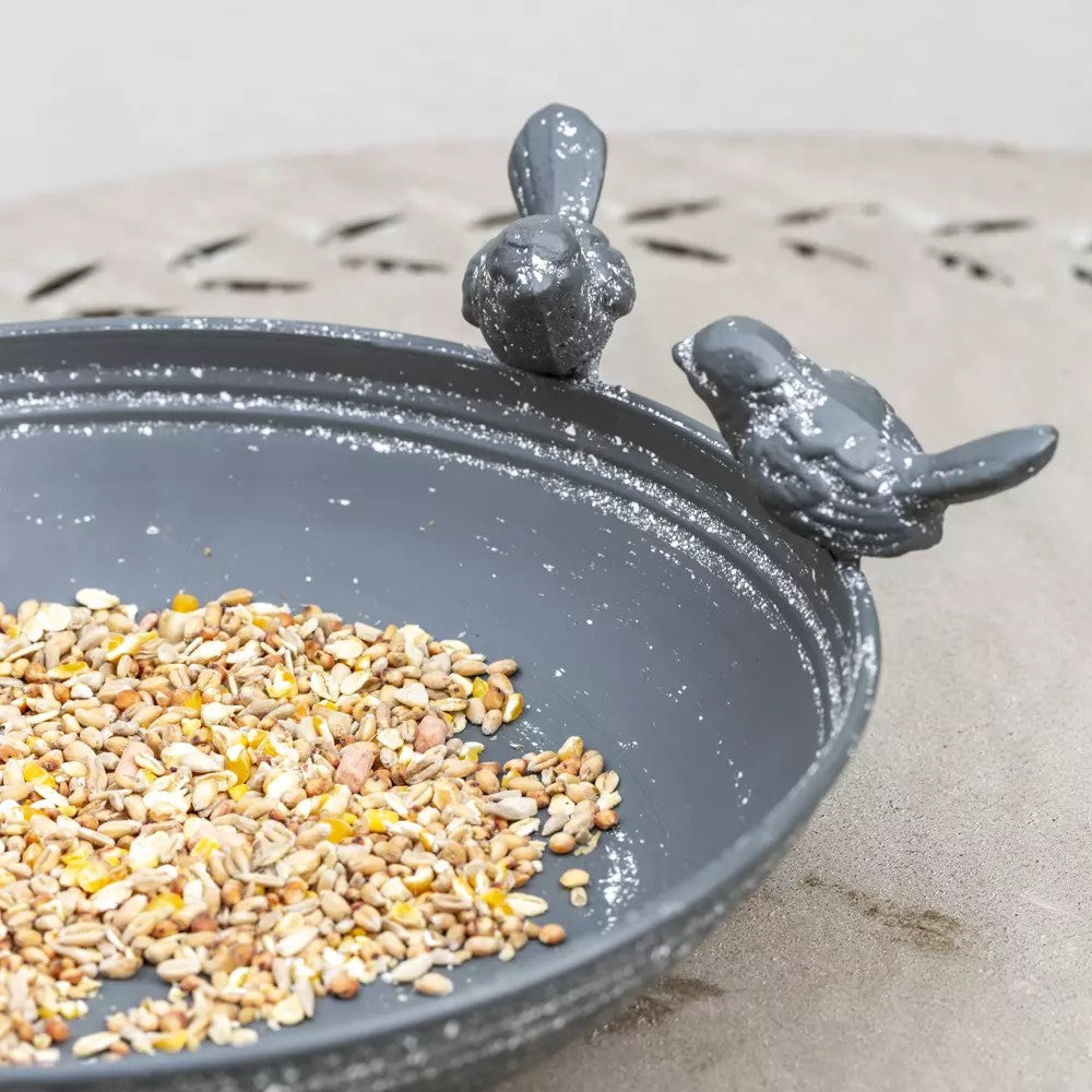 Grey metal bird bath and feeder with decorative feet, ideal for attracting outdoor birds and adding charm to garden spaces.