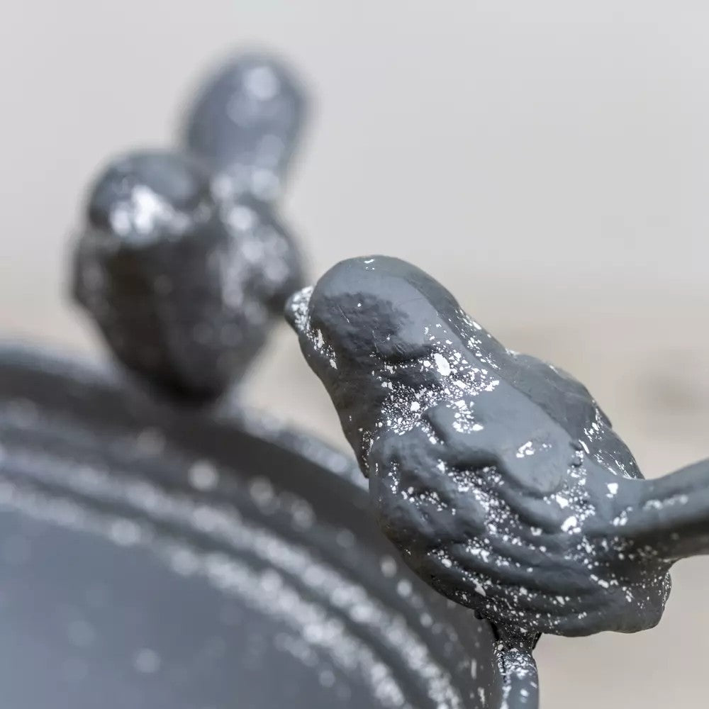 Grey metal bird bath and feeder with decorative feet, designed for outdoor bird watching and garden decoration.