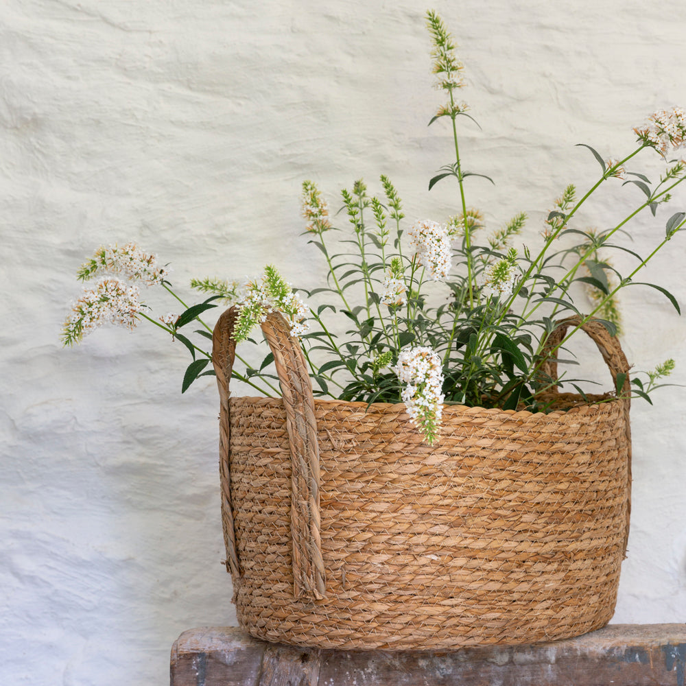Set of three oval seagrass baskets with handles by Shabbyquins, woven natural fiber baskets for storage or decor.