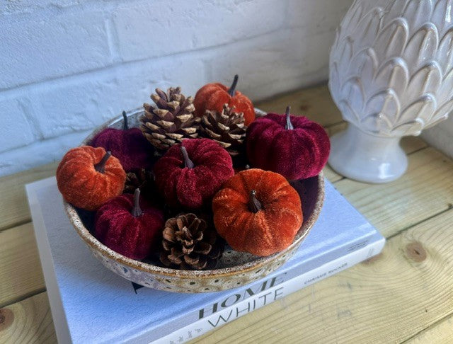 Pumpkins & Pine Cones Box Set