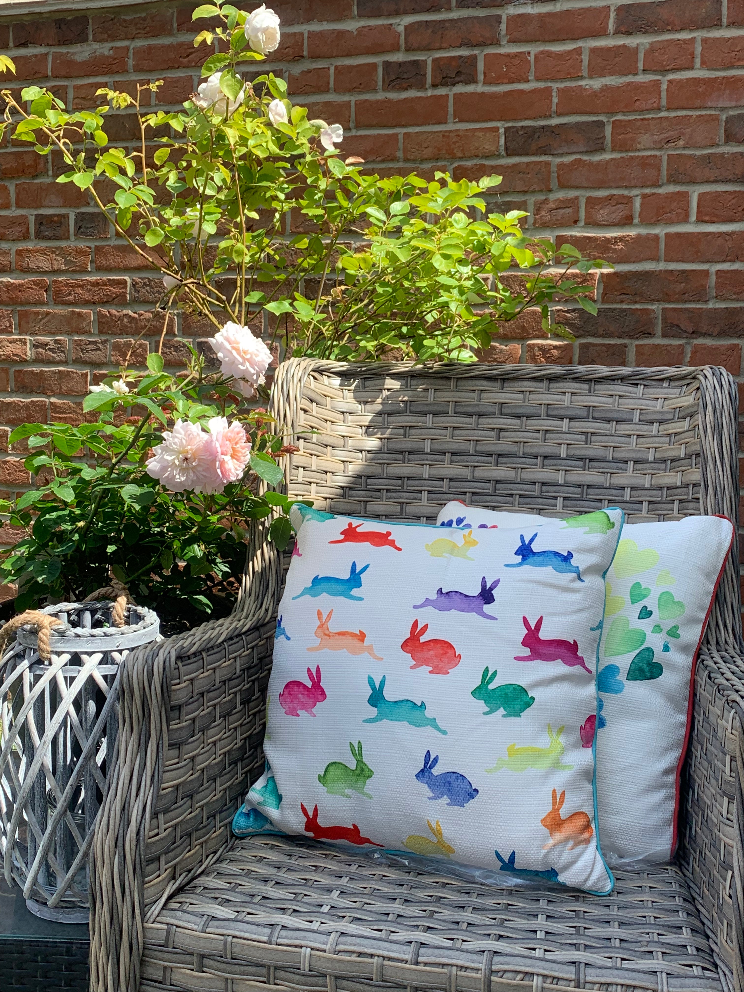 Colorful Rainbow Brights cushion from Sable Homeware, showcasing vibrant rainbow patterns and soft fabric for cozy decor.